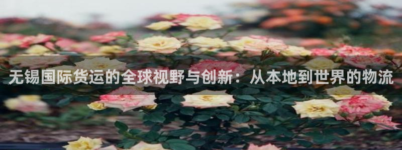 尊龙人生就是博旧版网址