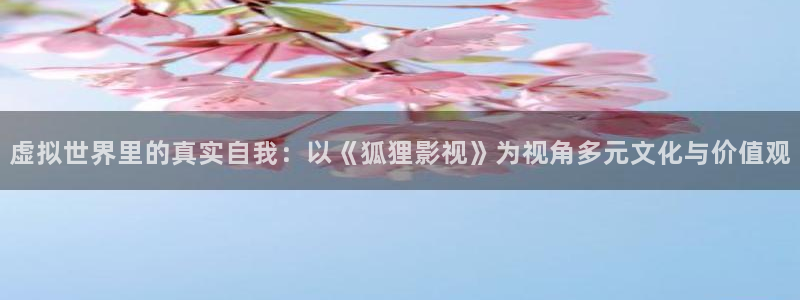 yy金苹果影院：虚拟世界里的真实自我：以《狐狸影视》为视角多元文化与价值观