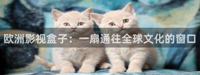 人人视频苹果手机怎么下载：欧洲影视盒子：一扇通往全球文化的窗口